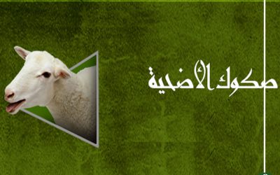 بإجمالى 209 آلاف جنيه أوقاف الدقهلية تبيع 140 صك للأضحية
