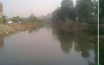 التعرف على جثة الشاب الغارق فى مياه ترعة نبروه بالدقهلية وأصدقائه محل اتهام