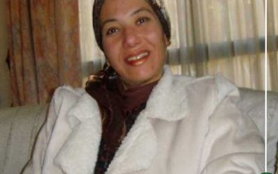 وزيرة البيئة في الدقهلية غداً لمواجهة السحابة السوداء