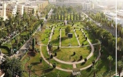 جامعة المنصورة تفتح باب تقليل تحويل الاغتراب غدا