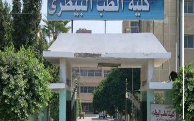 جامعة المنصورة تعتمد برنامج «الحيوانات الأليفة» بكلية الطب البيطري