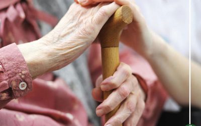 أبزر المعلومات عن الاحتفال باليوم العالمى للمسنين