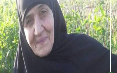 القبض على العقل المدبر بقضية “الحاجة سعدية”فى قضية تهريب جديدة