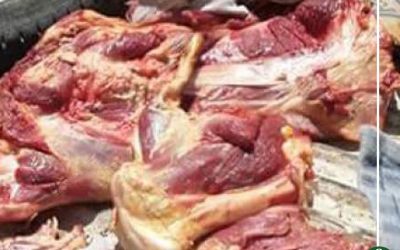 ضبط وإعدام كميات هائلة من اللحوم والأسماك الفاسدة بالسنبلاوين