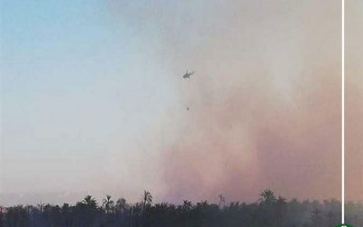 بالأسماء.. ارتفاع عدد ضحايا حريق الراشدة إلى 39 مصابًا