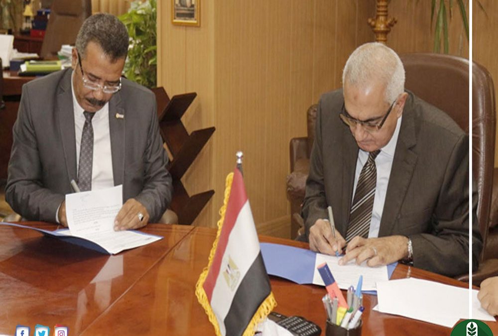 توقيع بروتوكول تعاون مع بنك مصر لتحصيل الرسوم الدراسية بجامعة المنصورة