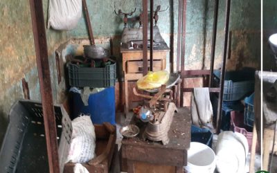 الصحة تعدم 586 كيلو أغذية وإغلاق 6 منشآت غذائية بالمنصورة