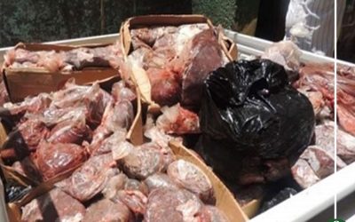 في 24 محافظة …ضبط 2026 طن لحوم وأسماك غير صالحة للاستهلاك