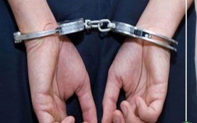 القبض على عامل بفعل فاضح بالطريق العام في المنصورة