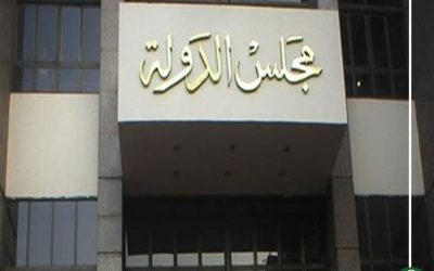 مجلس الدولة يحيل وثيقة تورط قيادات بقضية “طفلي ميت سلسيل” للكشف عنها