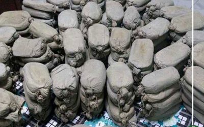 الأموال العامة تكشف غسيل 3 أشقاء لـ 90 مليون جنيه من تجارة المخدرات بنبروه