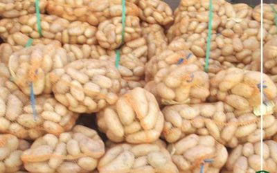 دار الإفتاء تجيز شراء «بطاطس الشرطة»