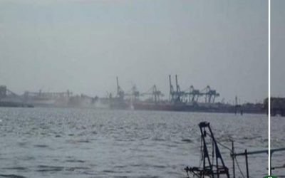 توقف الصيد ببحيرة المنزلة بسبب الطقس السيئ