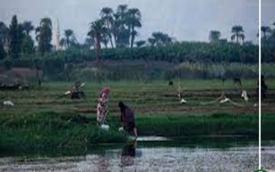 قرية شاور بدكرنس بلا خدمات .. والأهالي “نعيش حياة غير آدمية “