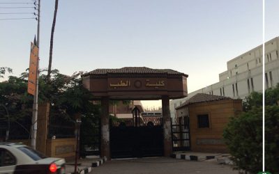 “طب المنصورة” تحتفل بـ”اليوبيل الذهبي”.. وأزمة “صفر” الدفعة تلقي بظلالها