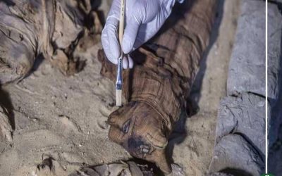 اكتشاف مقبرة لمسئول فرعونى تعود لأكثر من 440 عام