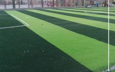 419 مركز شباب ينهى انتخابات مجالس إداراته بالدقهلية