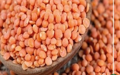 حقيقة استيراد عدس مسرطن وتداوله بالأسواق