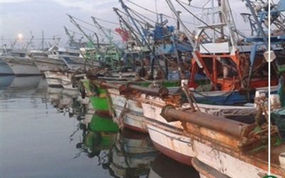 طقس متقلب و توقف حركة الصيد في بحيرة المنزلة