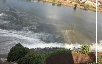 ظهور بقعة زيت في «نيل المنصورة»