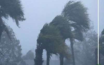 الأرصاد: طقس مائل للبرودة .. اليوم