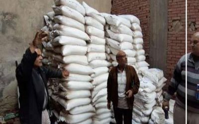 “صحة الدقهلية”: إعدام 150 كيلو أسماك فاسدة