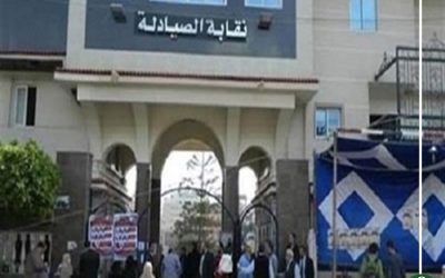 صيادلة الدقهلية.. الأوراق المستحدثة للإنتخابات مخالفة