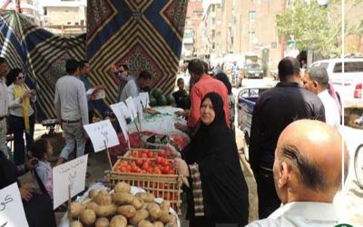 قرار نهائي بنقل سوق الجملة من المنصورة