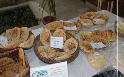 رغيف خبز بلا قمح.. أحد منتجات وزارة الزراعة