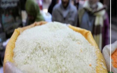 ارتفاع أسعار الأرز والفاصولياء والقمح ومنتجاته