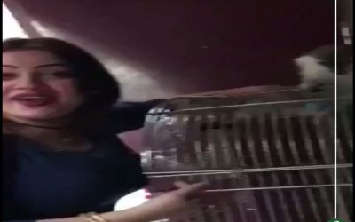 الحكم بحبس المتهمة بالتحرش بقرد 3 سنوات