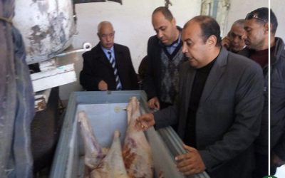 ضبط بقر نافق معد للبيع بمحل جزارة في بلقاس