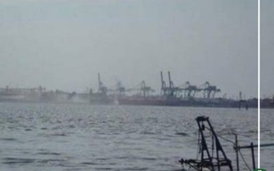 طقس سيىء يوقف حركة الصيد في بحيرة المنزلة