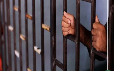 حبس المتهمين بقتل طفلة ميت غمر 3سنوات