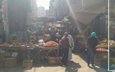ارتفاع أسعار الخضروات والفاكهة بالمنصورة