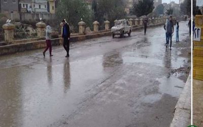 تحسن ملحوظ في حالة الطقس بالدقهلية