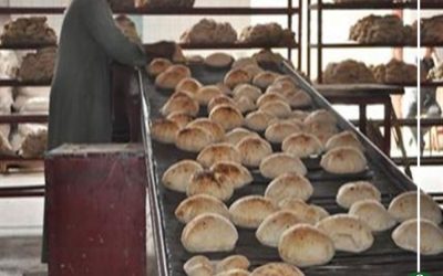 رسميًا.. الحكومة تعدل سعر تكلفة الخبز المدعم