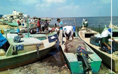 مخلفات المصانع تنهش الثروة السمكية