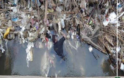 مصرع صياد غرقا بإحدي ترع شربين