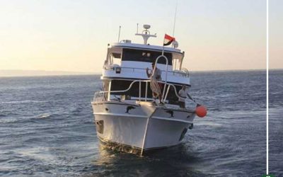 القوات البحرية تنقذ 160 سائحا صينيا بالغردقة