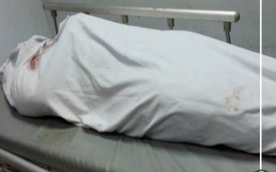 مصرع فلاح فى حادث تصادم بمنية النصر