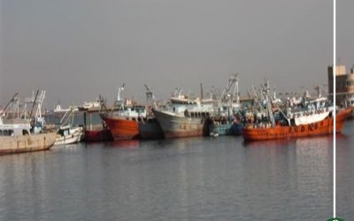 طقس بارد فى الدقهلية وتوقف حركة الصيد بالمنزلة