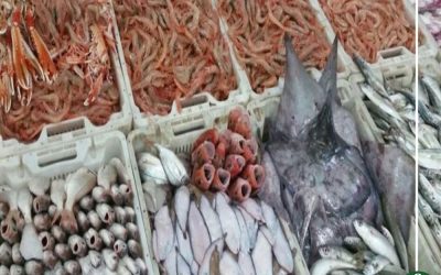 سوق سمك نموذجي من 3 طوابق بالسنبلاوين