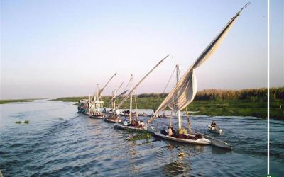 طلب إنشاء قرية الصيادين ببحيرة المنزلة