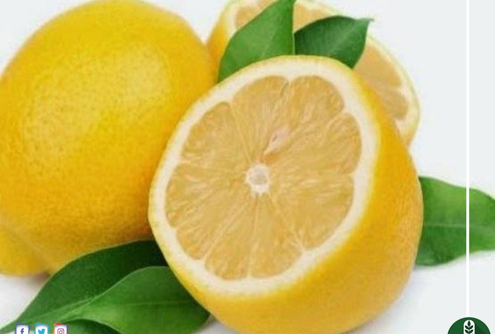 هذا ما يحدث للحامل عند تناول عصير الليمون !!