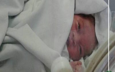 العثور على طفلة حديثة الولادة بجوار مسجد بالمنصورة