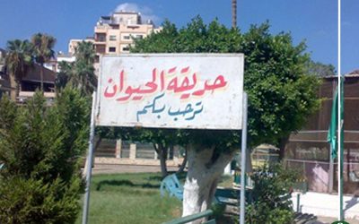 افتتاح حديقة حيوان المنصورة أكتوبر المقبل