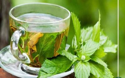 تعرف على فوائد مشروب النعناع