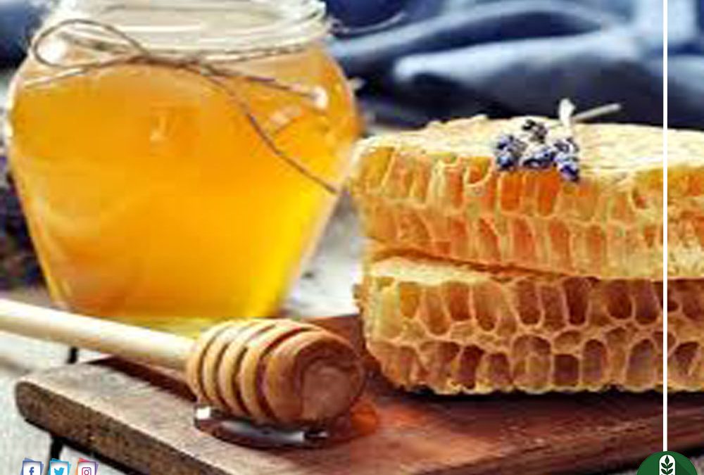 طرق ووصفات مختلفة لعلاج الحروق بالعسل