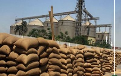 استعداد الزراعة والتموين لاستقبال القمح بالدقهلية .. غدا